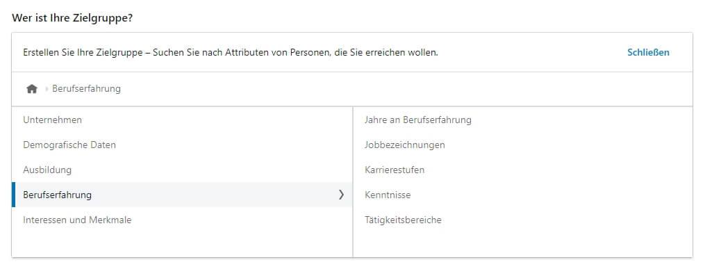 LinkedIn Targeting: LinkedIn Ads Kampagnenmanager Berufserfahrung