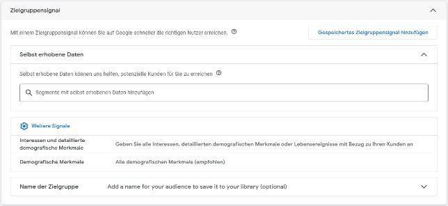 Google Ads Performance Max Kampagnen optimieren: Ziegruppensignal erstellen