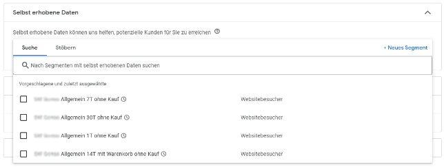 Google Ads Performance Max Kampagnen optimieren: Segmente mit selbst erhobenen Daten